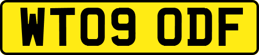 WT09ODF