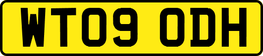 WT09ODH