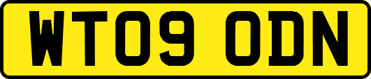 WT09ODN