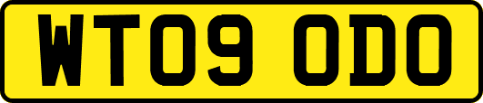 WT09ODO