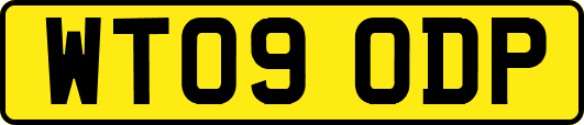 WT09ODP