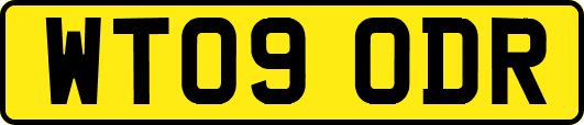WT09ODR