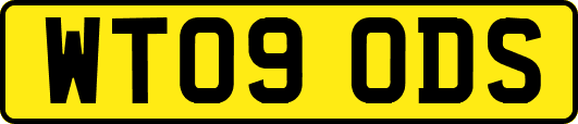 WT09ODS