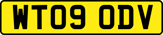 WT09ODV