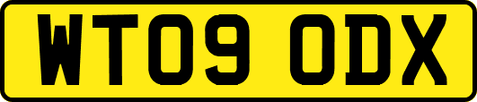 WT09ODX