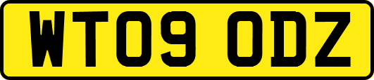 WT09ODZ