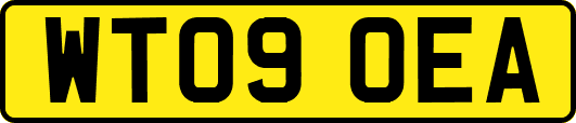 WT09OEA