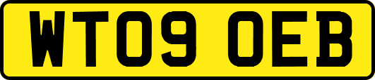 WT09OEB