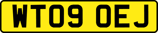 WT09OEJ