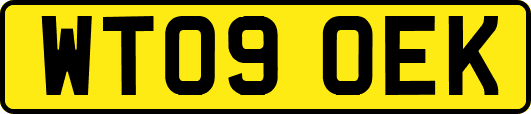 WT09OEK