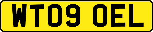 WT09OEL