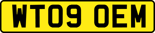 WT09OEM