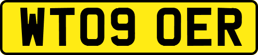 WT09OER