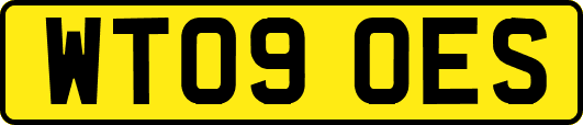 WT09OES