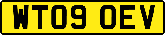 WT09OEV