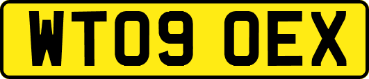 WT09OEX