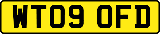 WT09OFD