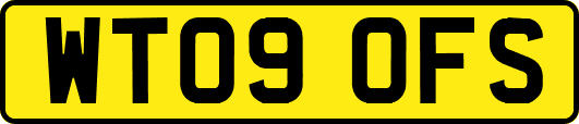 WT09OFS