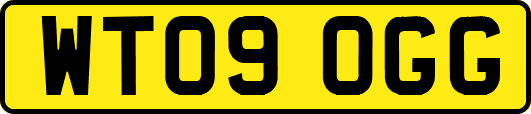 WT09OGG