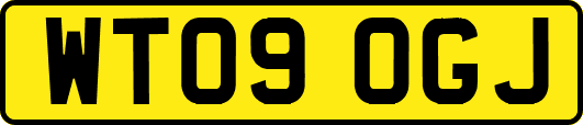 WT09OGJ