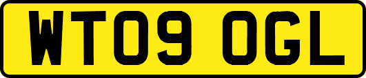 WT09OGL