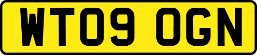 WT09OGN