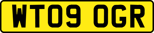 WT09OGR