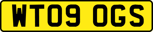 WT09OGS