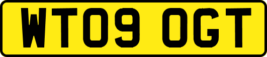 WT09OGT