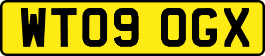 WT09OGX