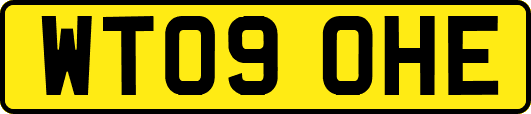 WT09OHE