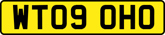 WT09OHO