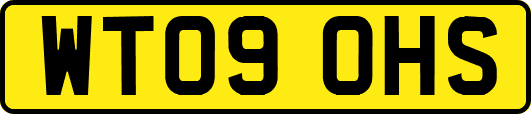 WT09OHS