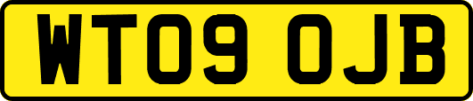 WT09OJB