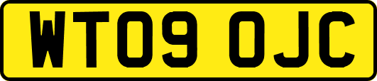 WT09OJC