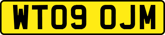 WT09OJM