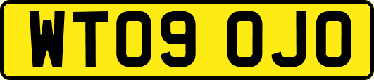 WT09OJO