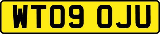 WT09OJU