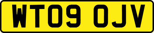 WT09OJV