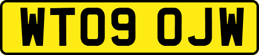 WT09OJW