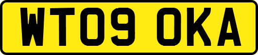 WT09OKA