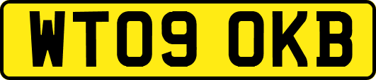 WT09OKB