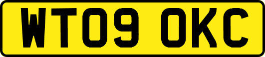 WT09OKC
