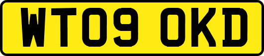 WT09OKD