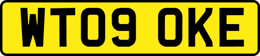WT09OKE