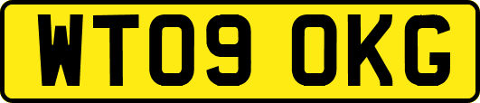 WT09OKG