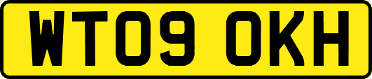 WT09OKH