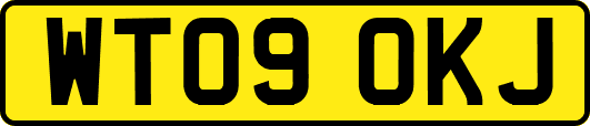 WT09OKJ