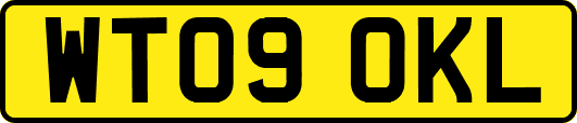 WT09OKL