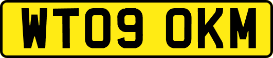 WT09OKM